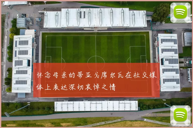 怀念母亲的蒂亚戈席尔瓦在社交媒体上表达深切哀悼之情